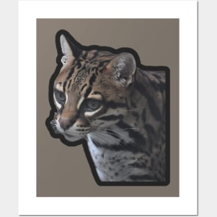 Ocelot Posters and Art